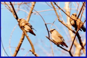 �q�����W���N